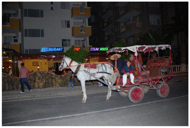 Hotel Fortune Delta 3*